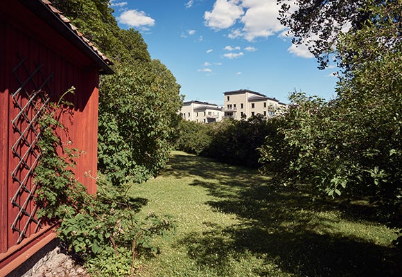 Aronia ligger nära grönområden