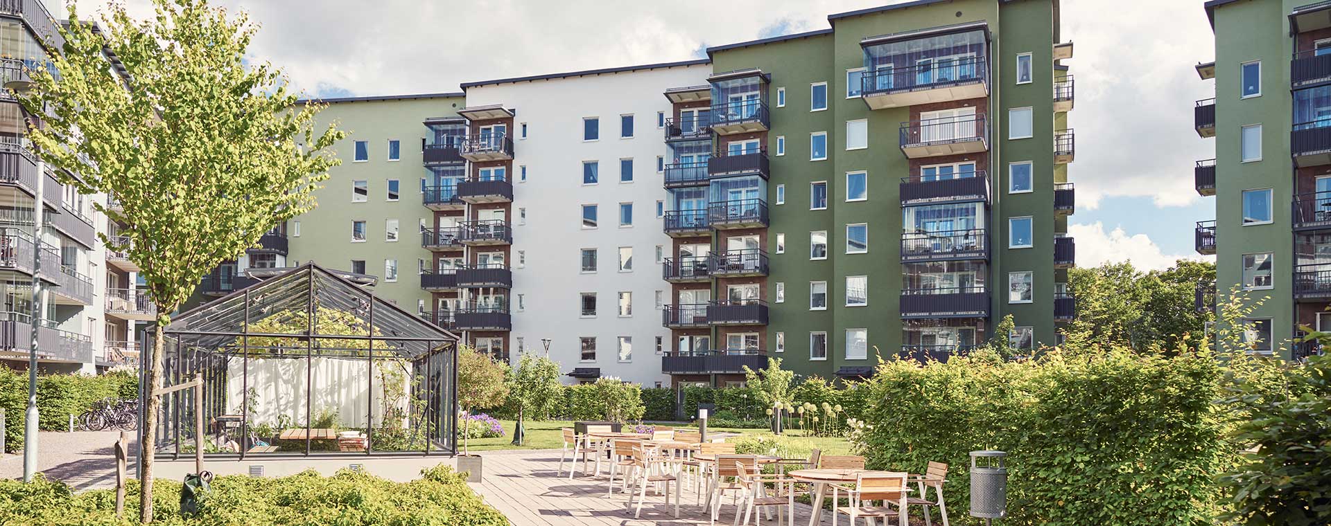 Gemensamt växthus i innergården på grannskapet Kungsträdgårdarna