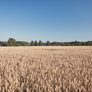 siteassets/_inspiration/inflyttade-grannskap/malargrand/malargrand6-380x380.jpg