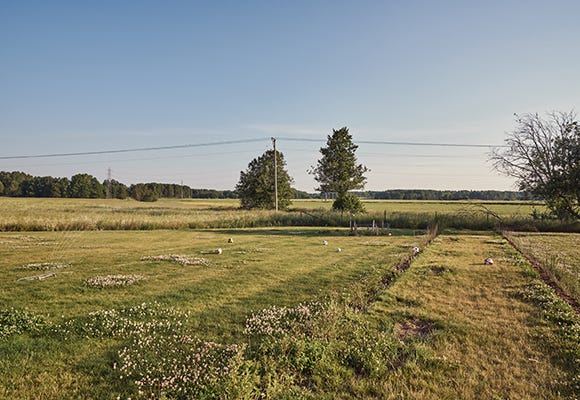 Äng i anslutning till området Nedersta
