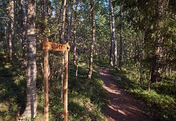 Skogsstigen till utegymmet i området Nedersta