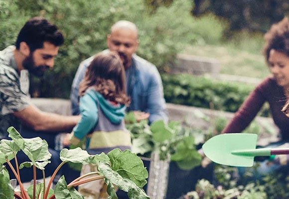 Foto på familj som planterar