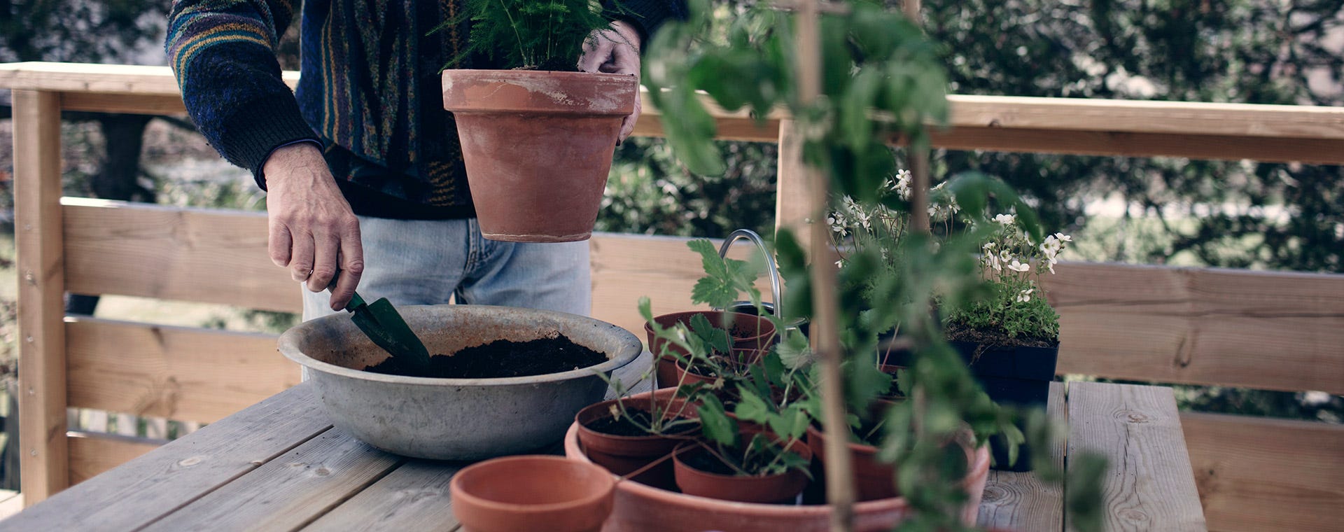 Närbild på man som planterar i krukor