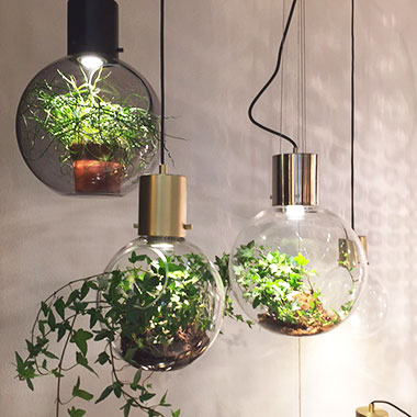 siteassets/inspiration-section-only/formex/formex-vaxter-i-glas380x380.jpg