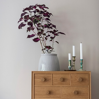 siteassets/inspiration-section-only/sommarfint/loppis_byra_380x380.jpg