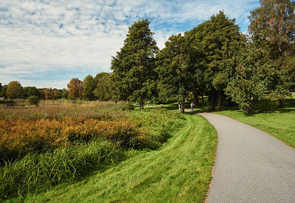 Grönområde i närheten av grannskapet Smedjan