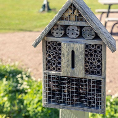 Förutom öppna ängar och åkrar finns hem för insekterna.