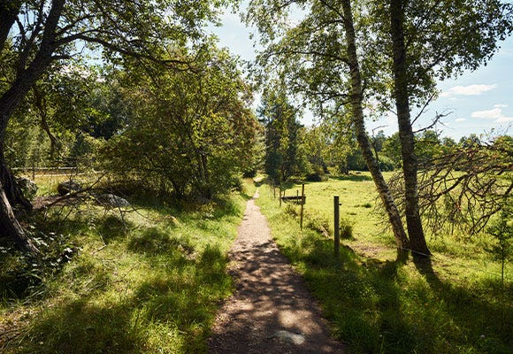 Grannskapen Nästet I & II ligger omgivet av natur.