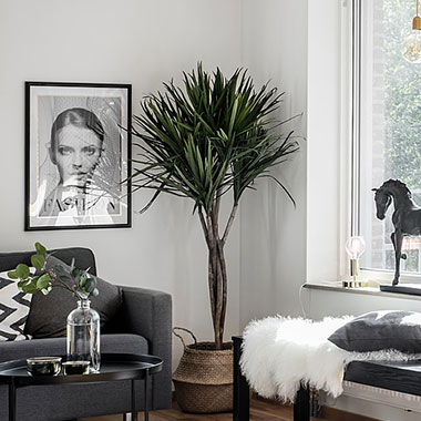 siteassets/stilkoncept/gronska2_380x380.jpg