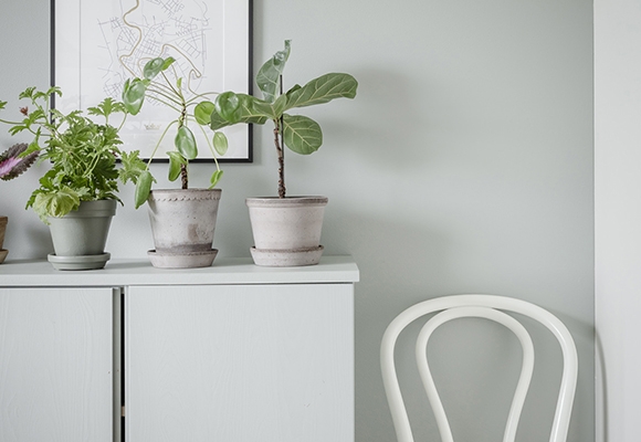 siteassets/vilsam-livsstil-forvaring6-580x400.jpg